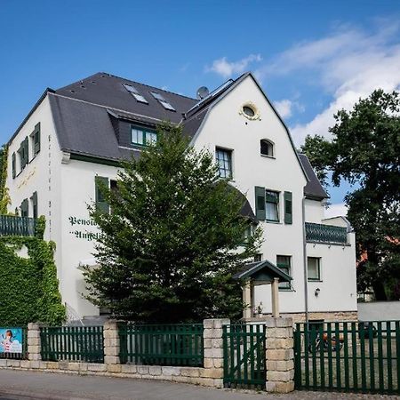 Villa Angelika Dresden Exterior photo